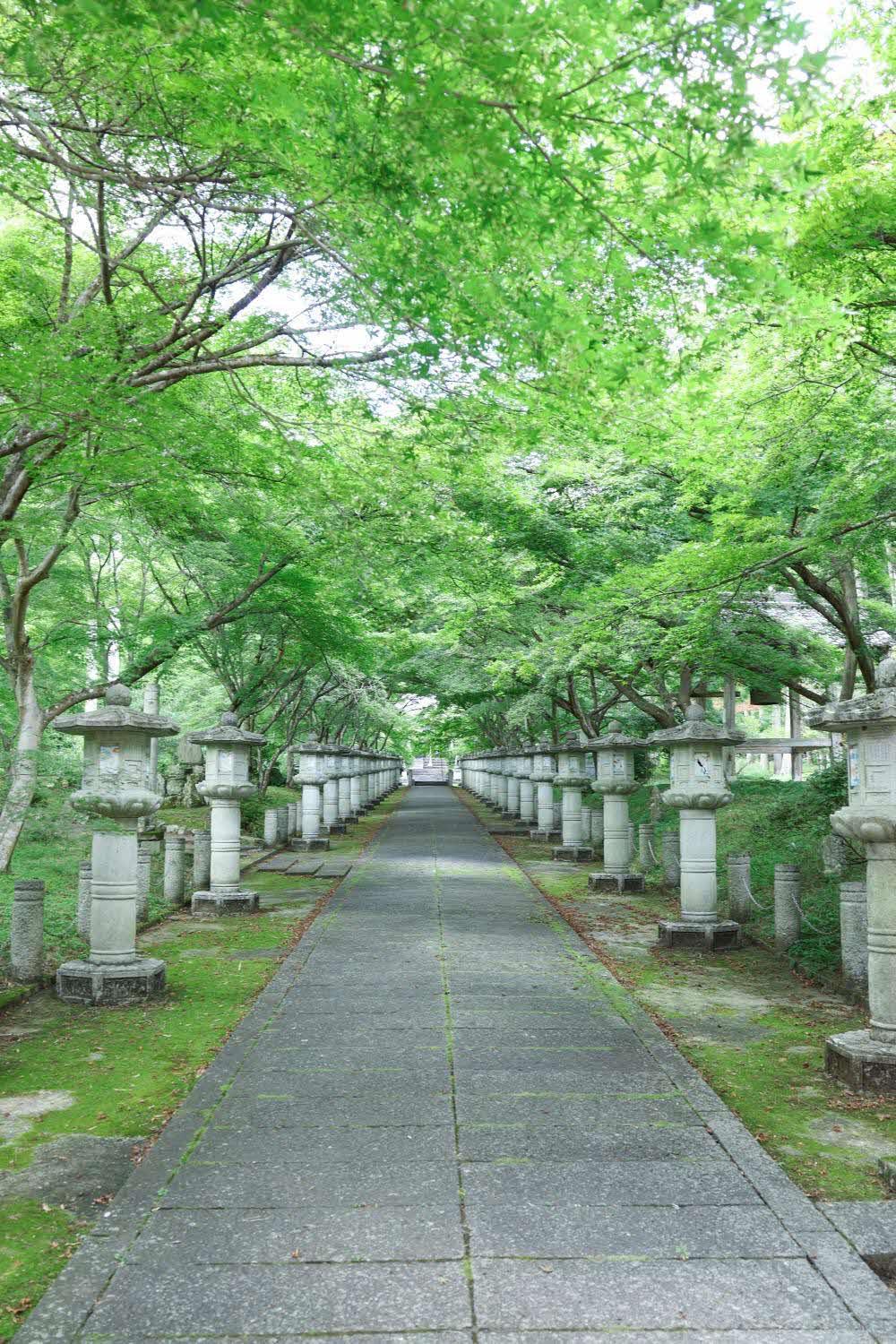 丹波青もみじめぐり