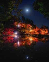 【山崎】最上山もみじ祭り2025