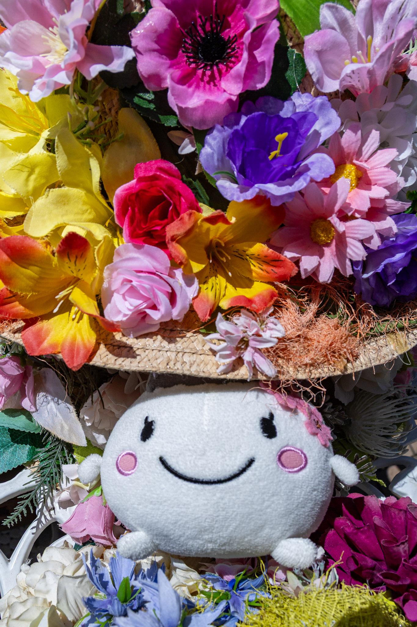 ぬい撮り0825-47.jpg