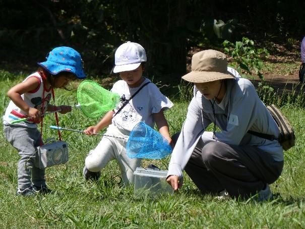 さがそう、さわろう、しらべよう、あんな虫、こんな虫