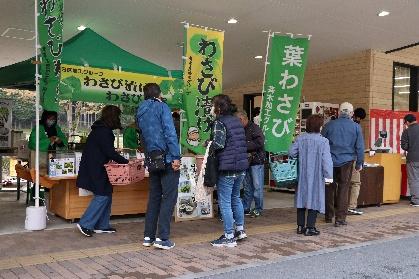 【波賀】葉わさびまつり