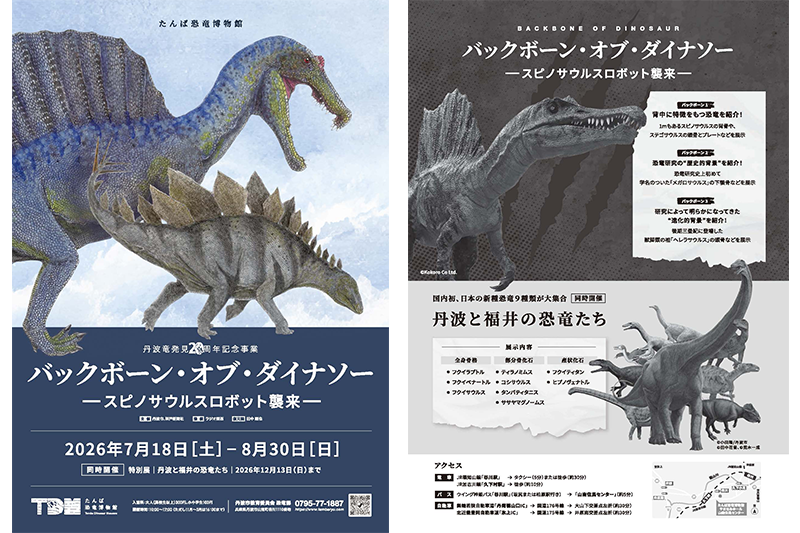 2026_丹波_バックボーンダイナソー.png