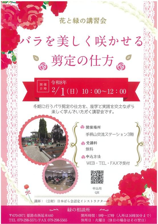 バラを美しく咲かせる剪定の仕方