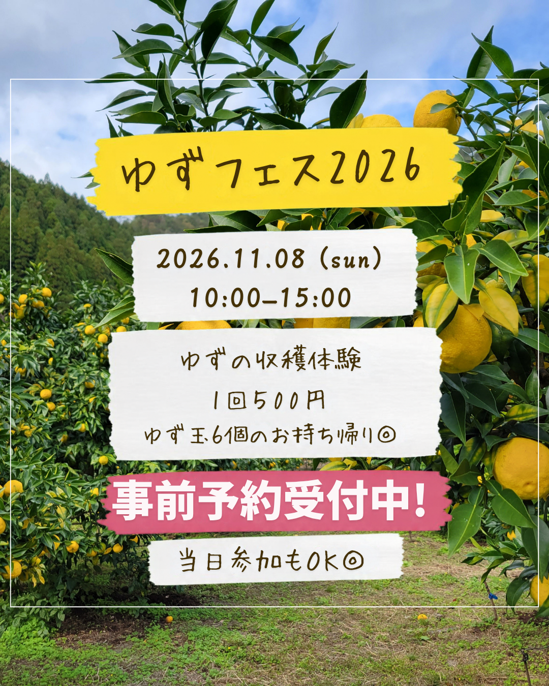 ゆずフェス告知⑤-2.png