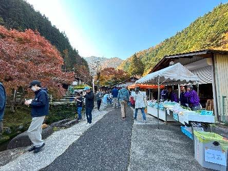 【波賀】 原不動滝・⼩滝公園 もみじ祭り