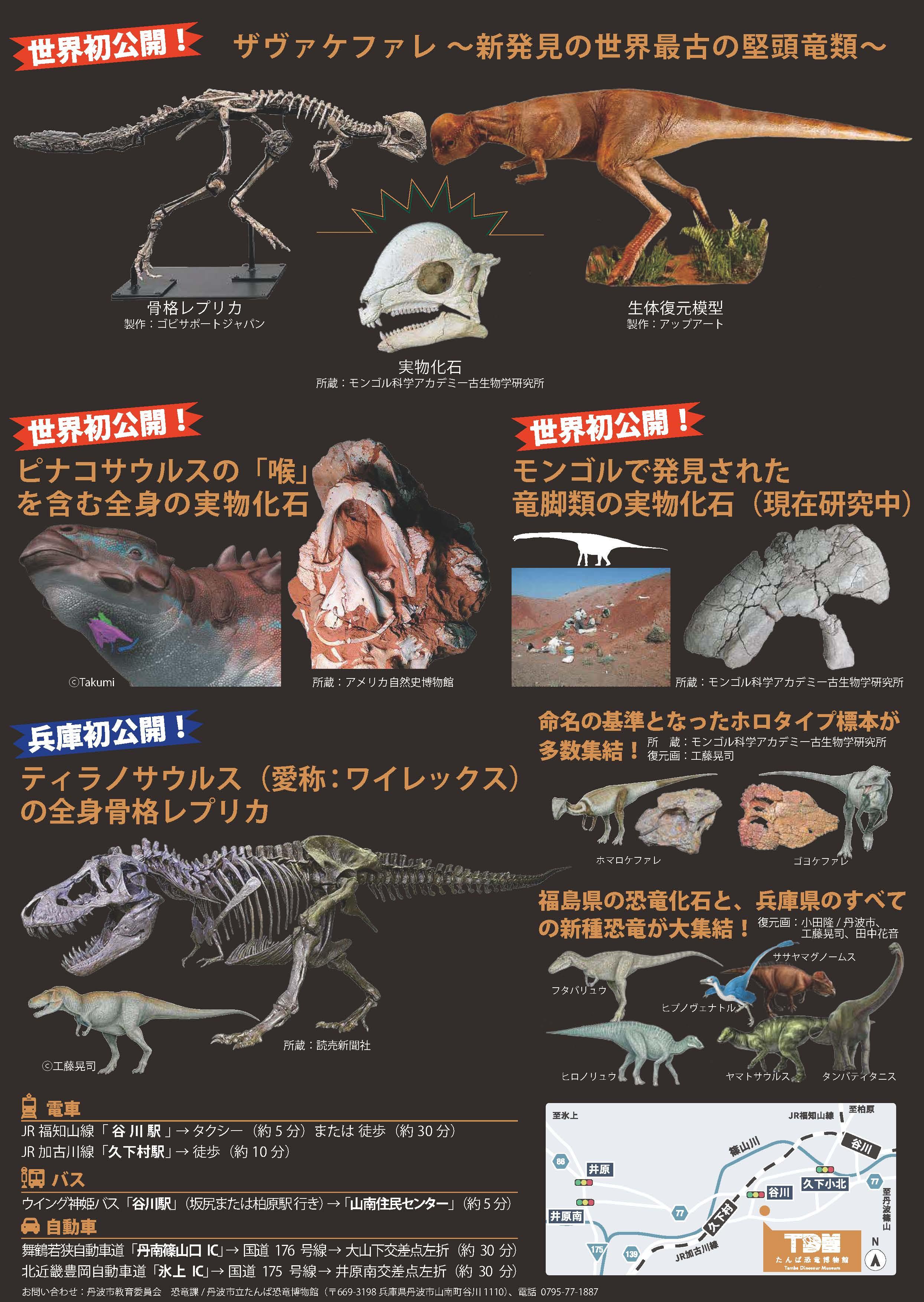 大恐竜展_チラシ_ページ_2.jpg