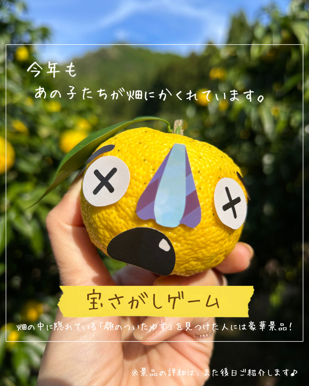 ゆずフェス告知①-6.png