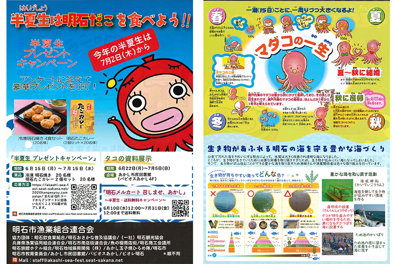 202606-07_明石_半夏生.png
