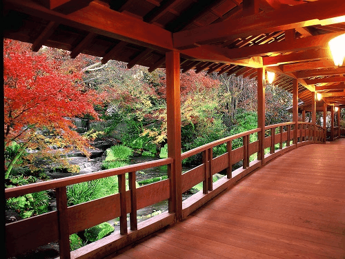 好古園　紅葉会のお知らせ　11月17日から12月3日