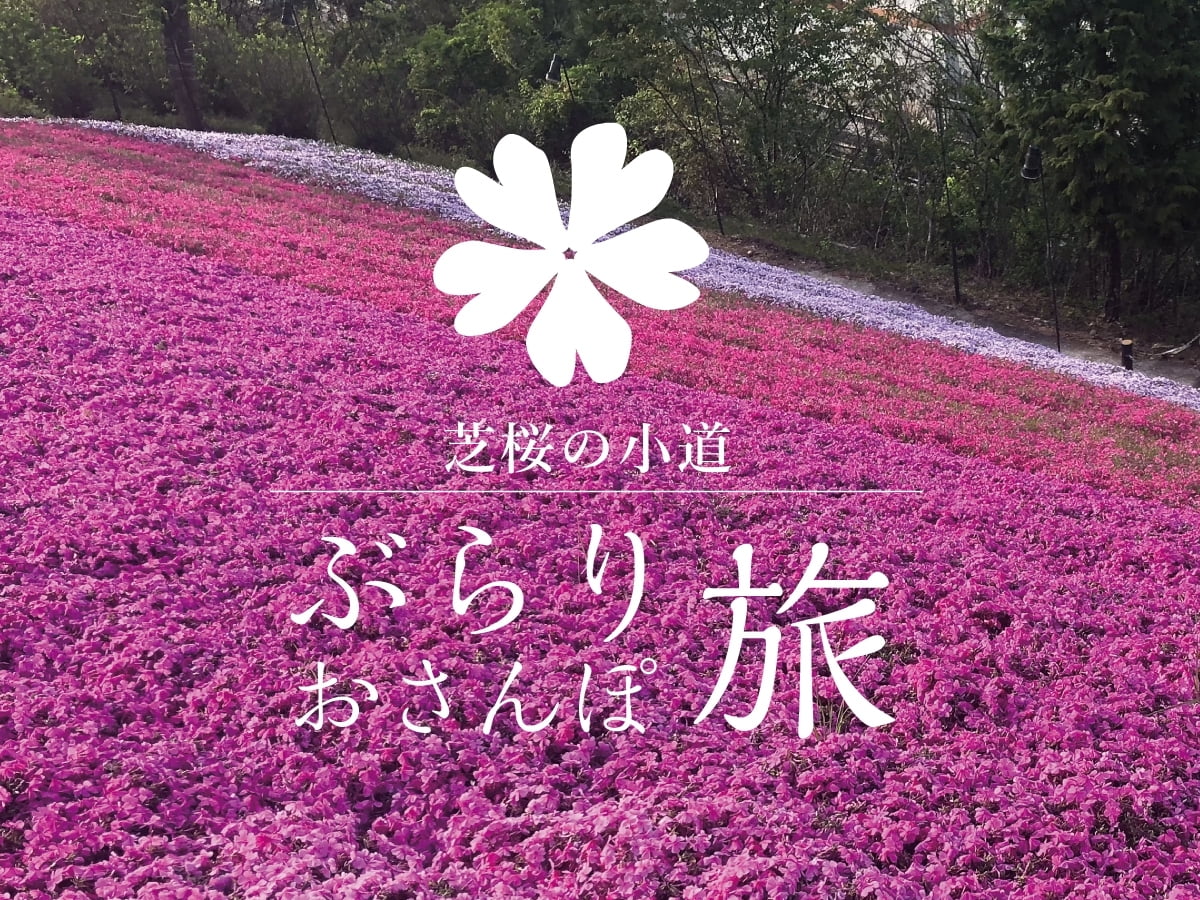 ヤマサ蒲鉾・芝桜の小道～イベントまとめ～