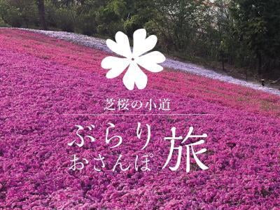 ヤマサ蒲鉾・芝桜の小道～イベントまとめ～