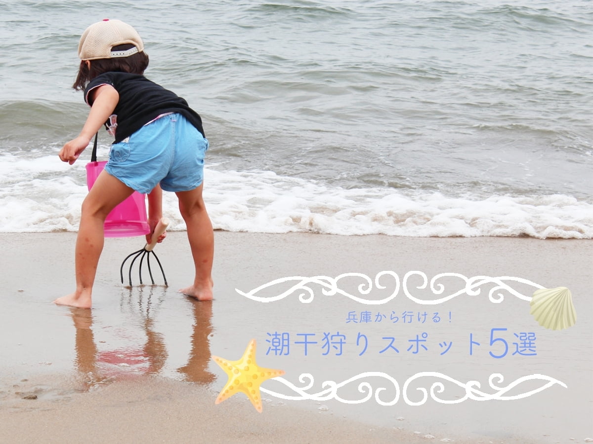 兵庫県潮干狩りスポット5選!無料・穴場・人気ポイント徹底攻略