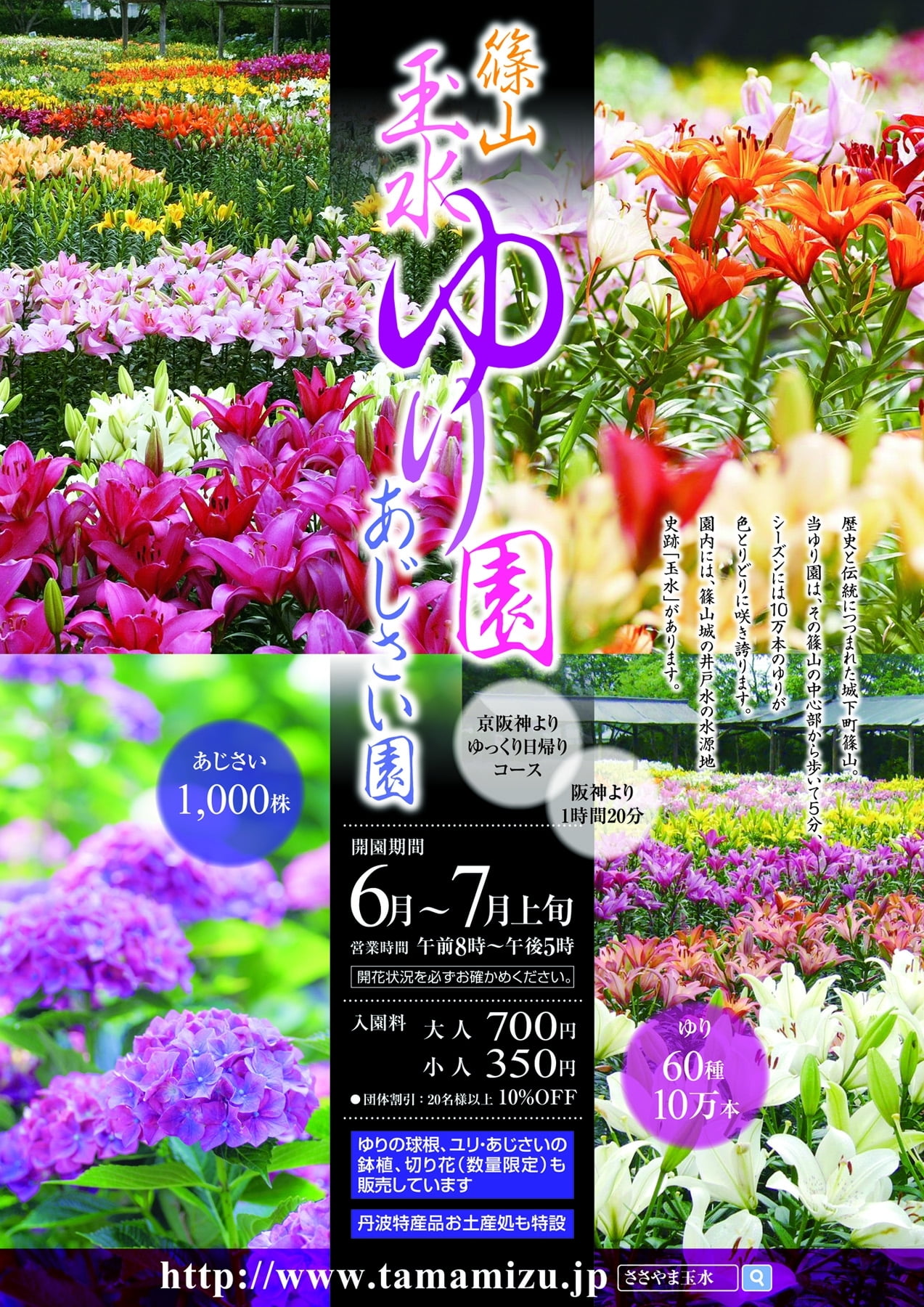 絶景!癒しのお花トリップ♡玉水篠山ゆり園・あじさい園