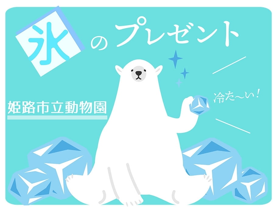 ホッキョクグマに氷のプレゼント【姫路市立動物園】2018年7月23日