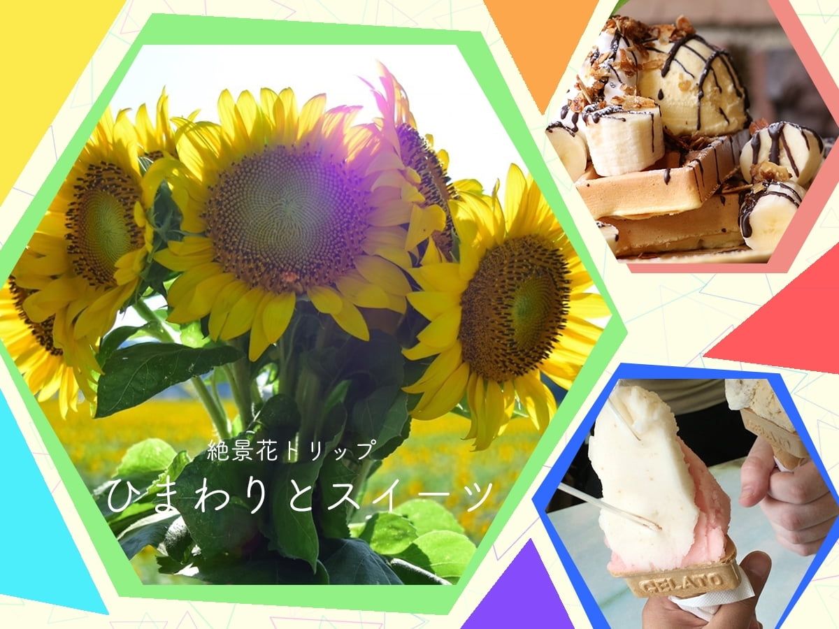佐用町のひまわり畑とスイーツ♡2018年版!絶景癒しのお花トリップ