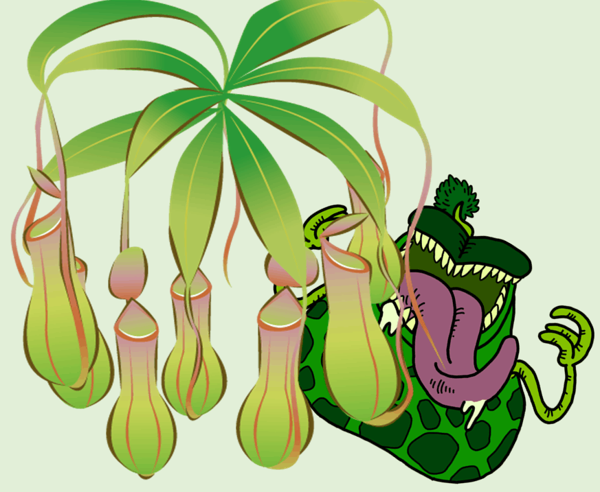 ウツボカズラは植物の妖怪?食虫植物展【2018年】姫路市立手柄山温室植物園