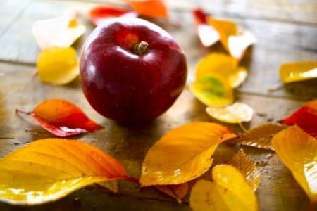 【宍粟市】綺麗な紅葉と秋の実りの収穫祭「原不動滝元祖もみじ＆りんご祭り」【2018年11月4日開催】