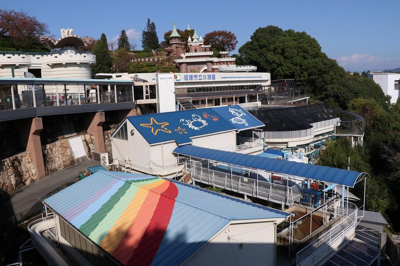 みんな知ってる？ひょうごの水産業～未来につなごう豊かな海～姫路市立水族館