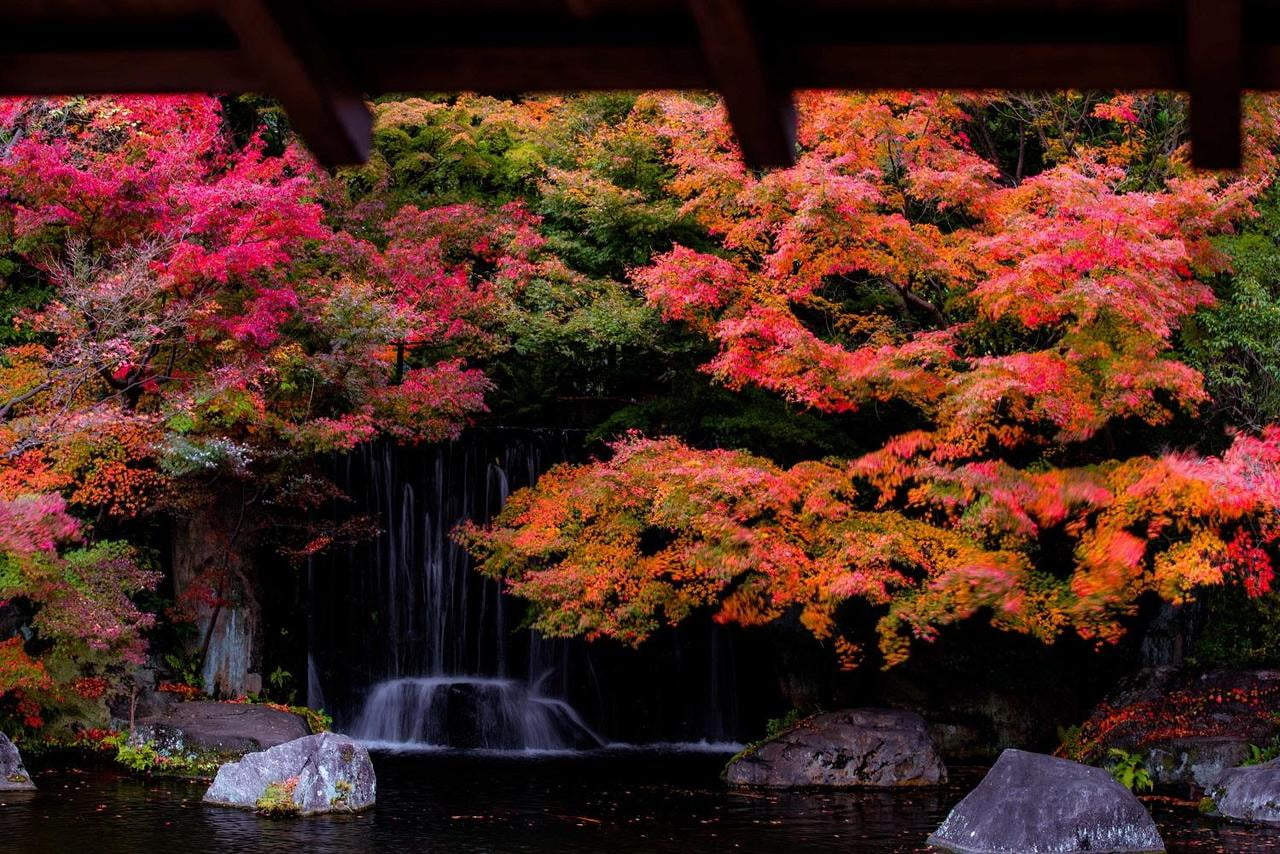 絶景！癒しの紅葉ぶらり散歩旅2018年兵庫県決定版