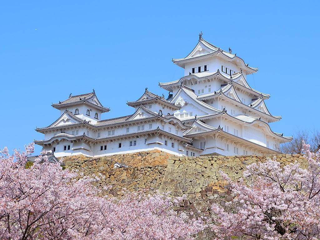 姫路城観桜会【2019年4月6日】