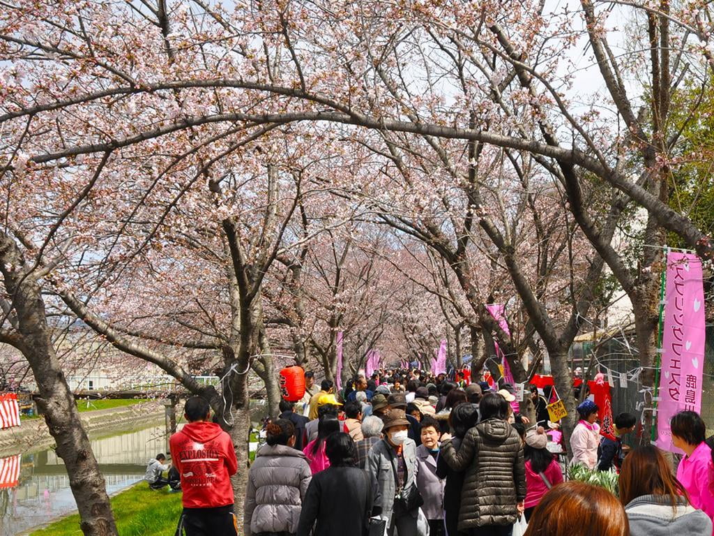 スプリングフェスタ鹿島川【2019年4月6日】