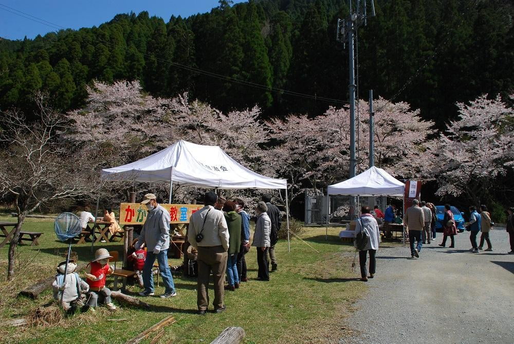 桜が楽しめる野外カフェ【2019年4月7日】奥播磨かかしの里