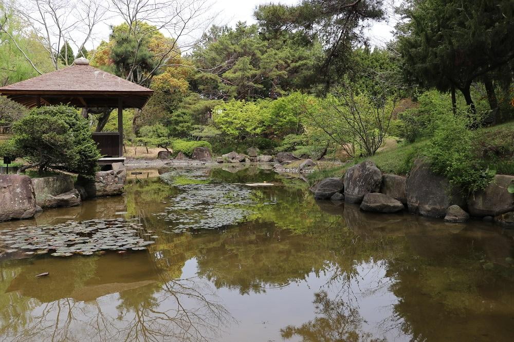 万葉集から令和がやってくる！いなみ野「万葉の森」