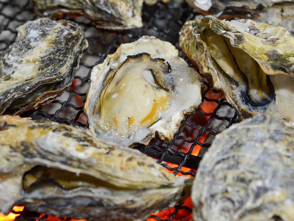 赤穂 坂越 牡蠣食べ放題 生牡蠣食べ比べのある人気店３選 ぷりっぷりで濃厚 みつけて播磨情報サイト 姫路みたい