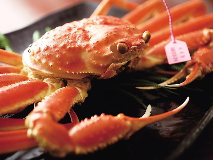 【兵庫 香住】カニ×温泉「潮風香る内湯の宿 かめや」日本一の柴山ガニを贅沢に味わう