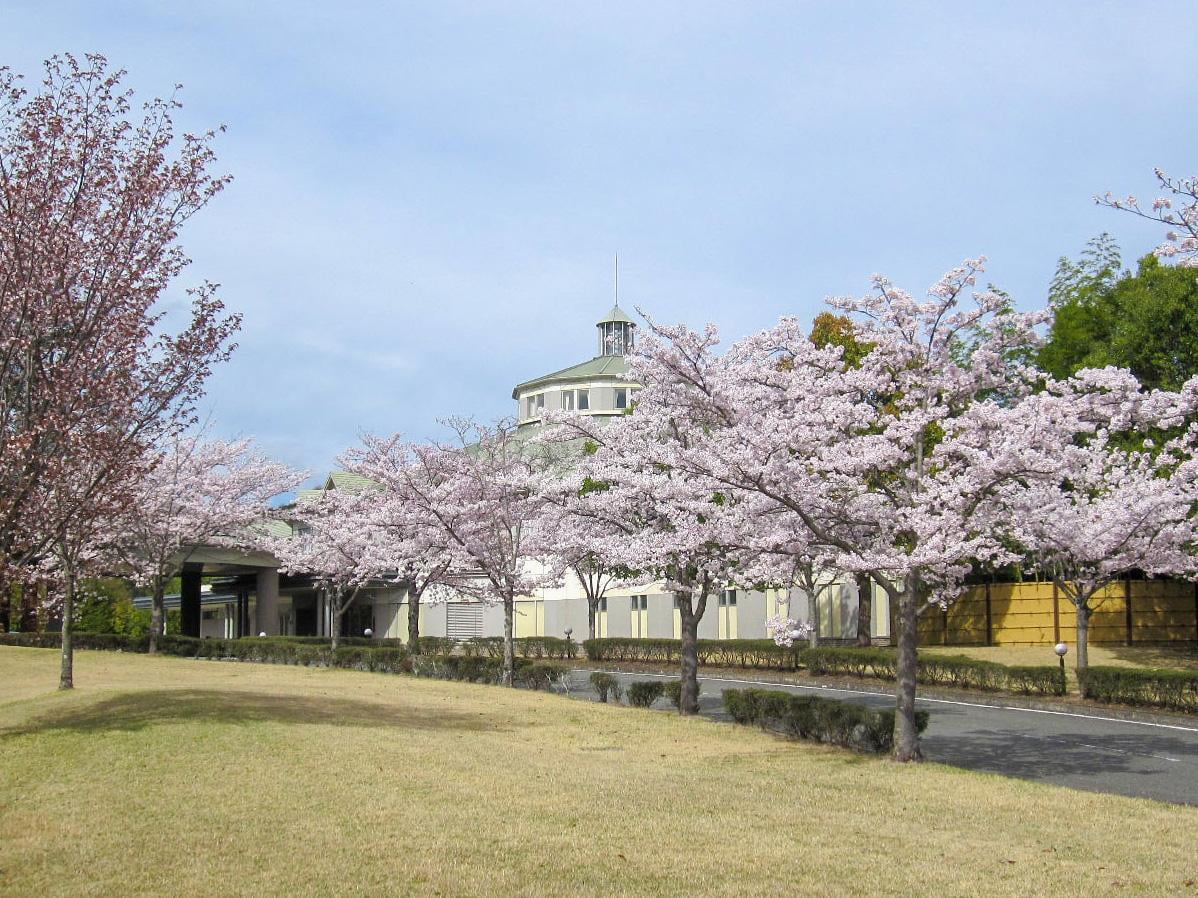 【兵庫】桜×ゴルフ 桜が楽しめる！春のオススメお花見ゴルフ場10選