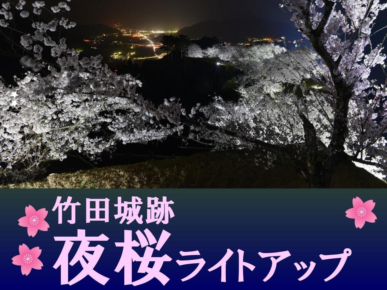 【兵庫・朝来】竹田城跡 夜桜ライトアップ～日本100名城～【2020】