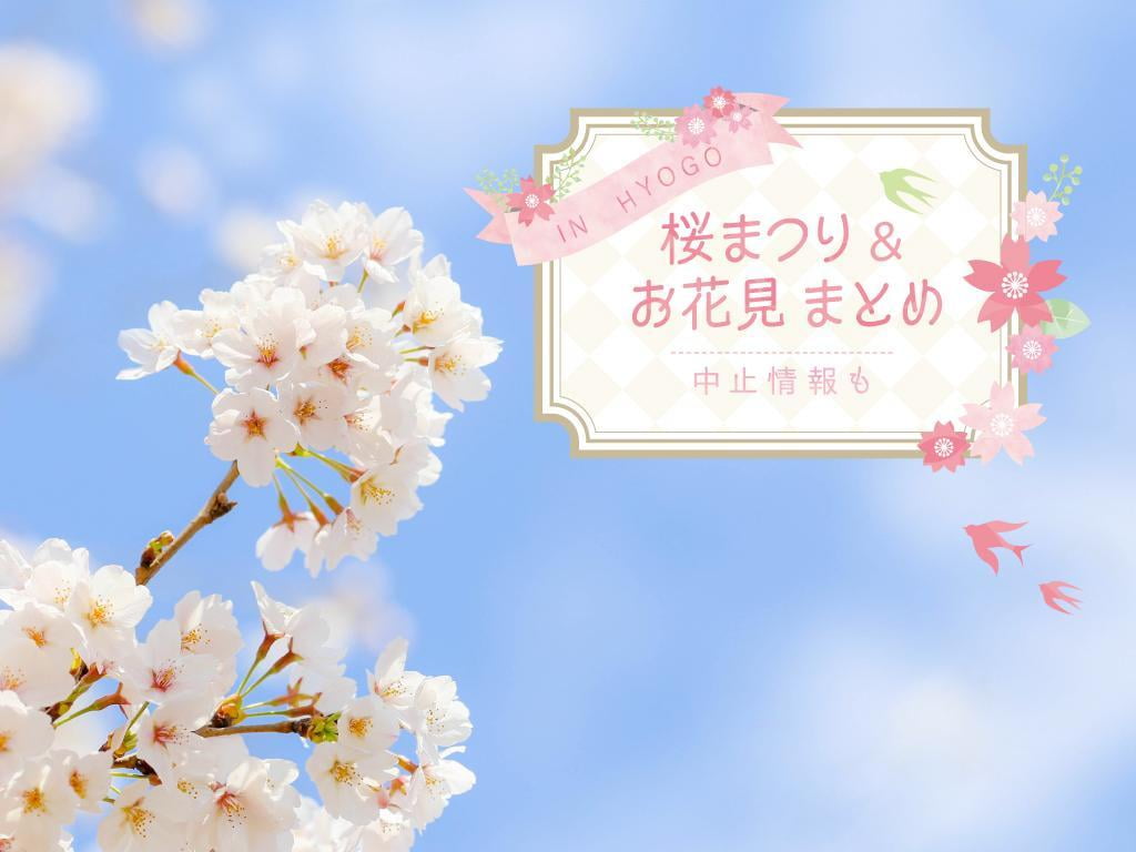 【兵庫・播磨】お花見・桜まつり情報まとめ2021～中止や内容変更も～随時更新