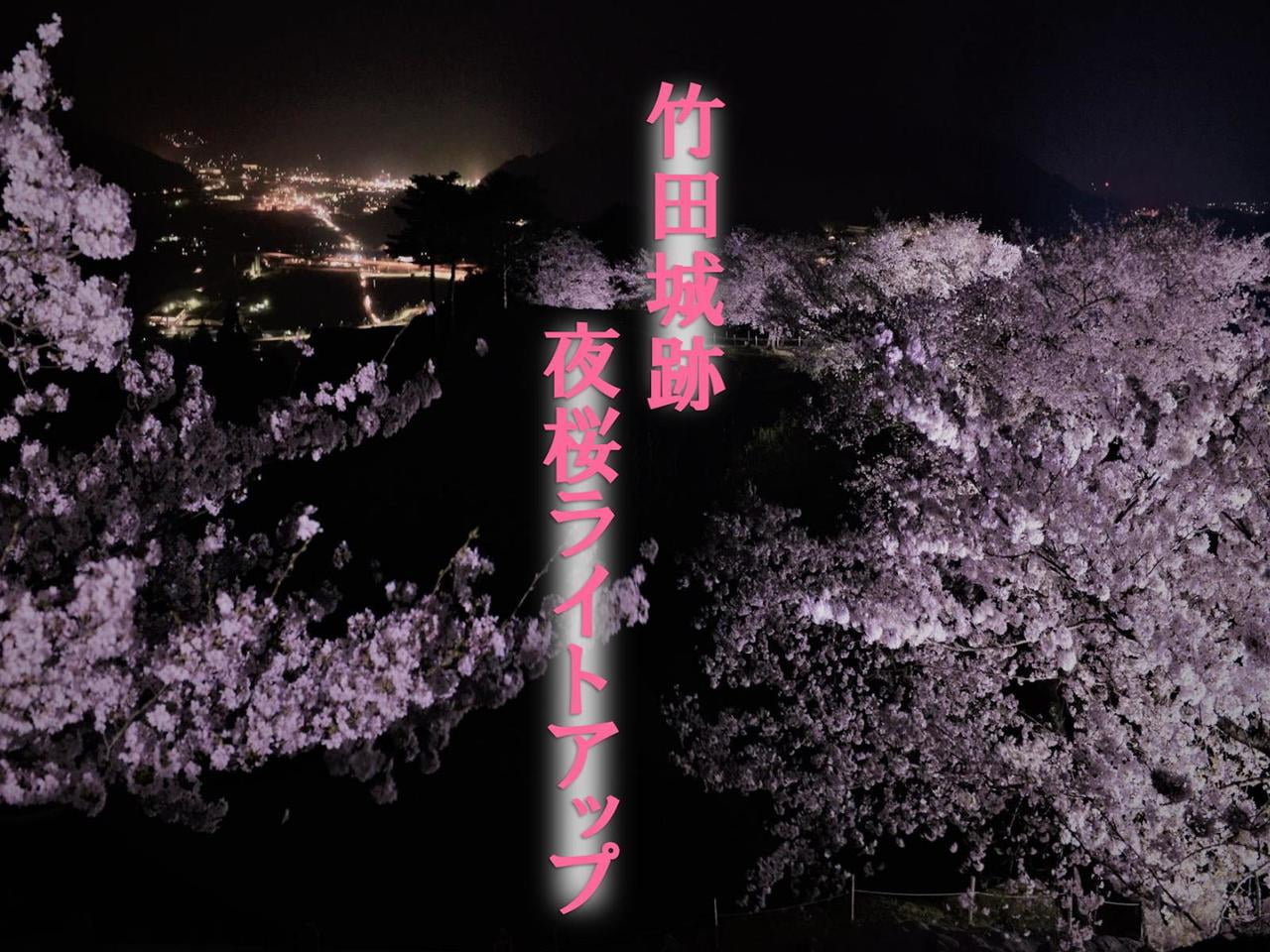 【兵庫・朝来】竹田城跡 夜桜ライトアップ~日本100名城~【2021】