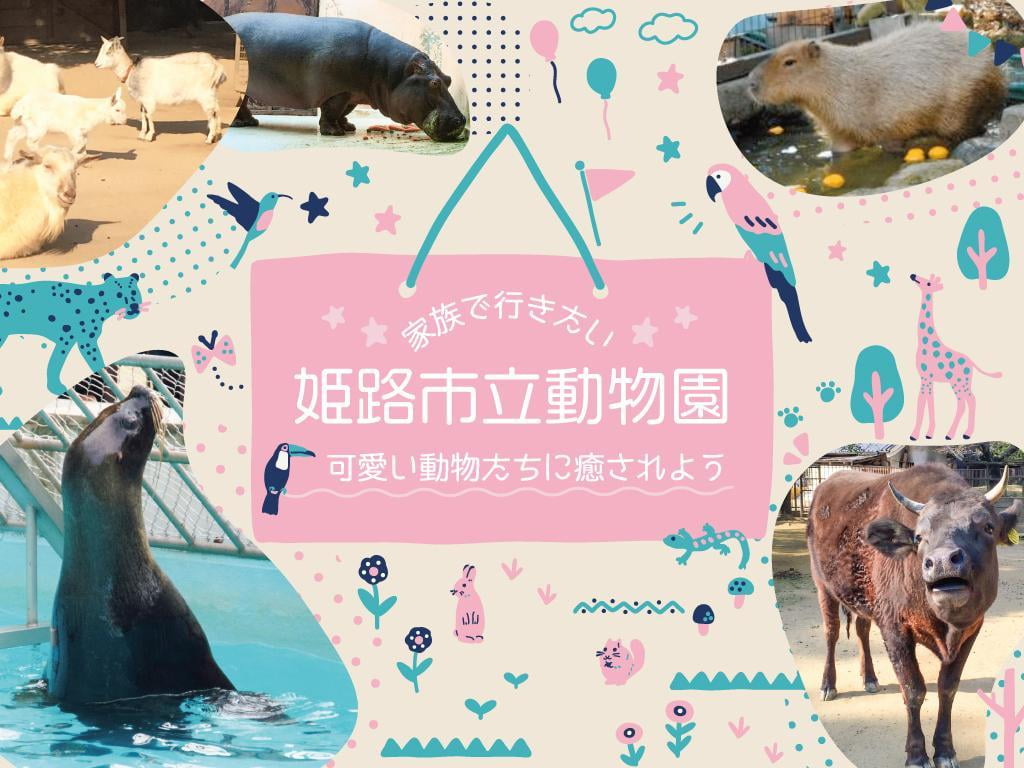 地元から愛される【姫路市立動物園】見どころ・料金・開園時間までご紹介
