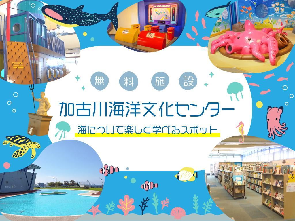 学べる・遊べる！無料施設「加古川海洋文化センター」図書室やアスレチックも