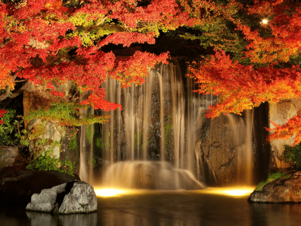 【姫路】夜を彩る紅葉を堪能！好古園で「紅葉会」開催 【11/19～12/5】
