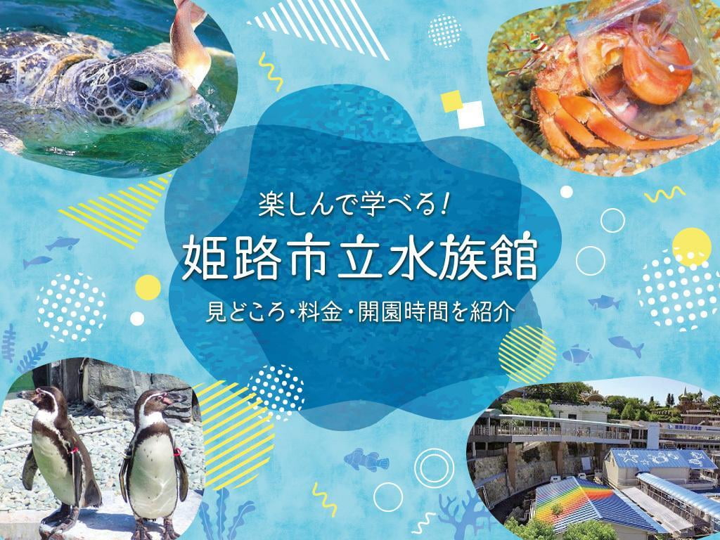 播磨の水辺の生きもの大集合！【姫路市立水族館】見どころ・料金・開園時間を紹介