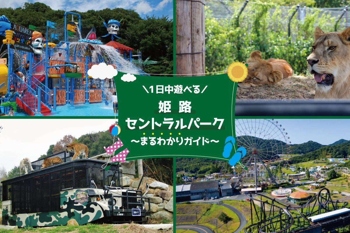 姫路セントラルパーク　遊園地　チケット