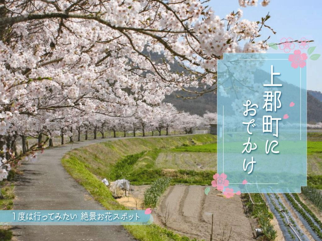 美しい自然と歴史あふれる【上郡町】観光スポットや特産品のモロヘイヤについてもご紹介