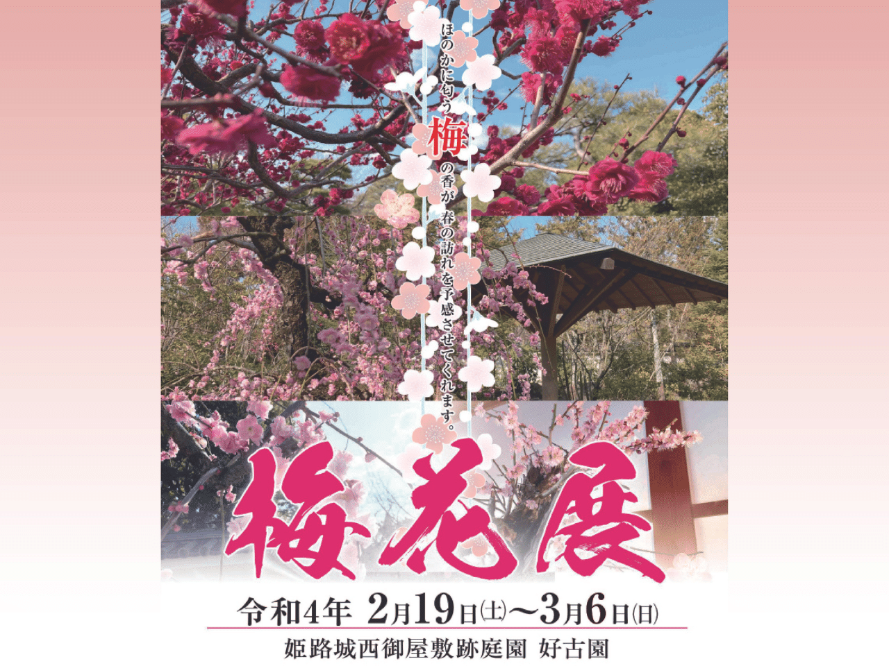 【好古園】早春を彩る梅に癒やされる「梅花展」開催!|2/19(土)~3/6(日)