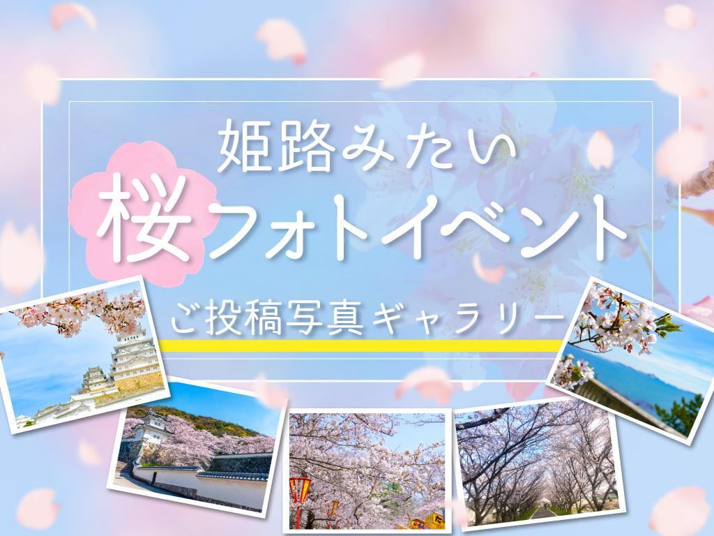 美しい春の播磨をシェアしよう!「さくらフォトイベント」絶景写真集♪