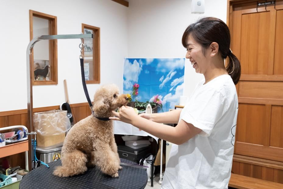 家族の様に愛犬を迎え入れるアットホームなトリミングサロン|DOG SALON PATiO