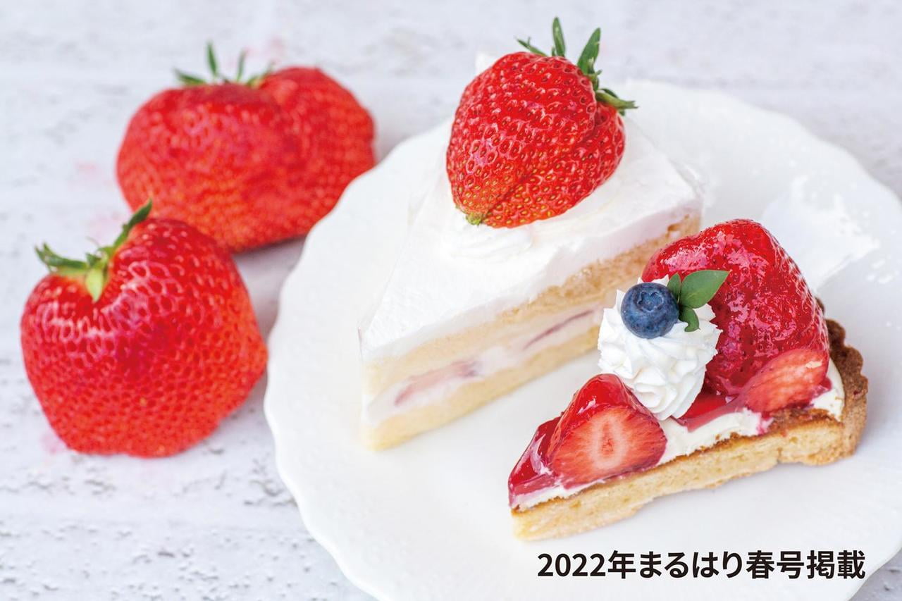 【小野】春を彩る 絶品いちごスイーツ特集！周辺の桜スポットもあわせてご紹介