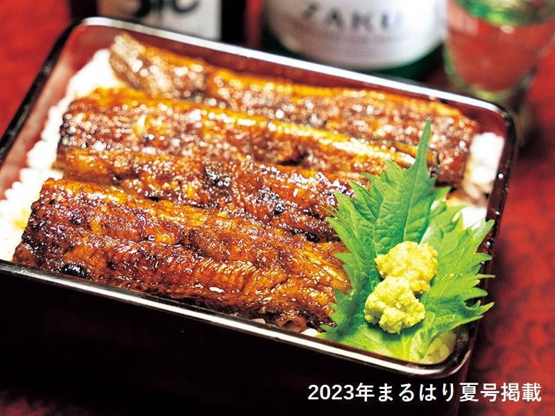 まるはり夏号 絶賛発売中!