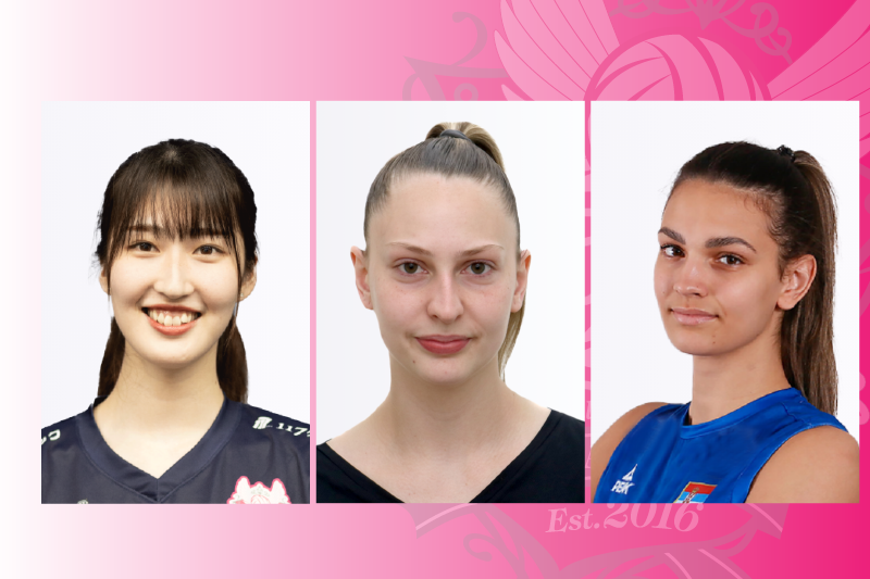 【ヴィクトリーナ姫路】2024-25シーズン 新規加入選手を発表!