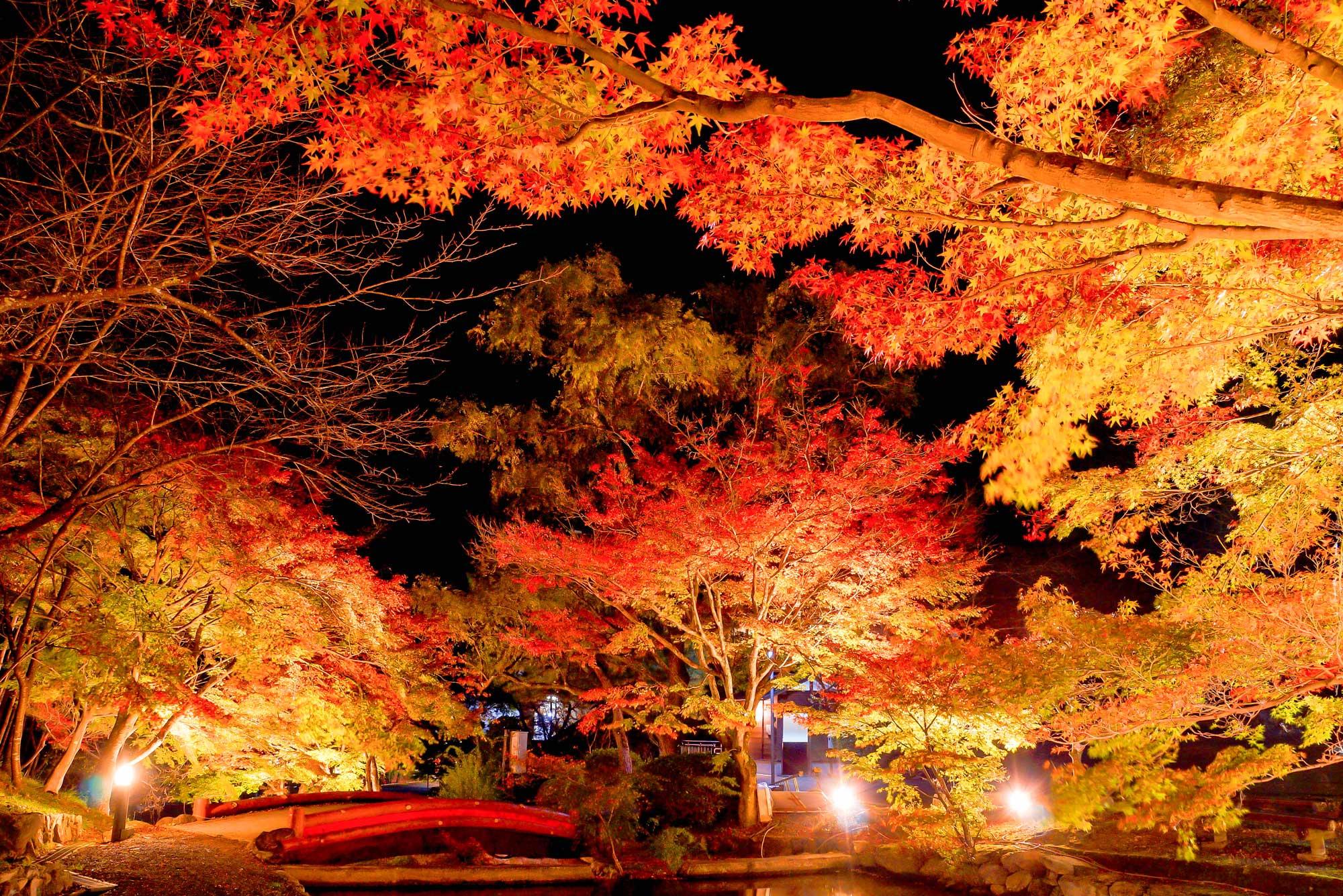 【兵庫】絶景！紅葉スポット27選 名所から穴場まで見頃やイベント情報も徹底紹介｜秋の観光におすすめ