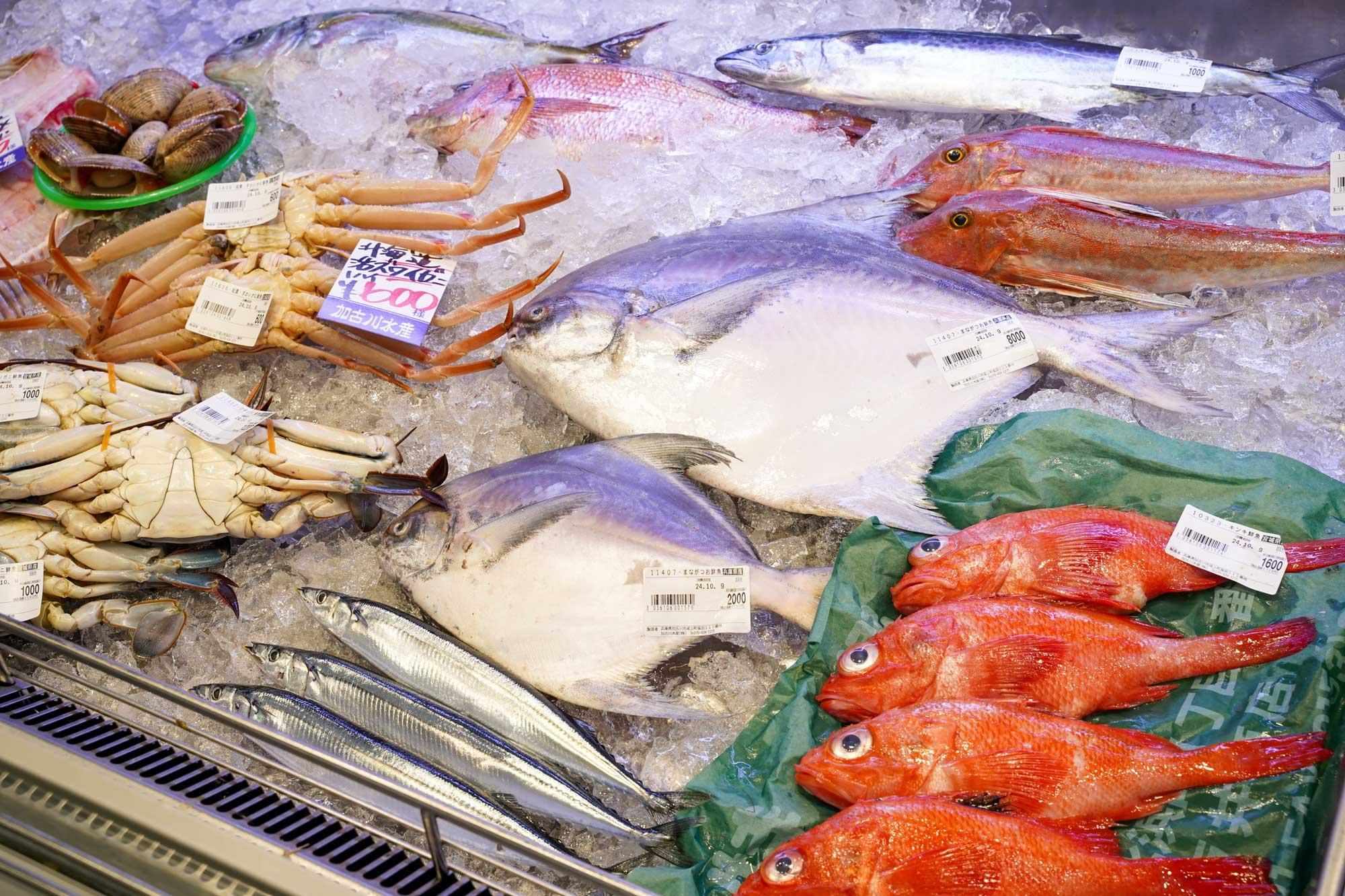 【加古川】豊富な品揃えで鮮度抜群！ 地域の人々に親しまれる魚屋さん｜加古川水産株式会社