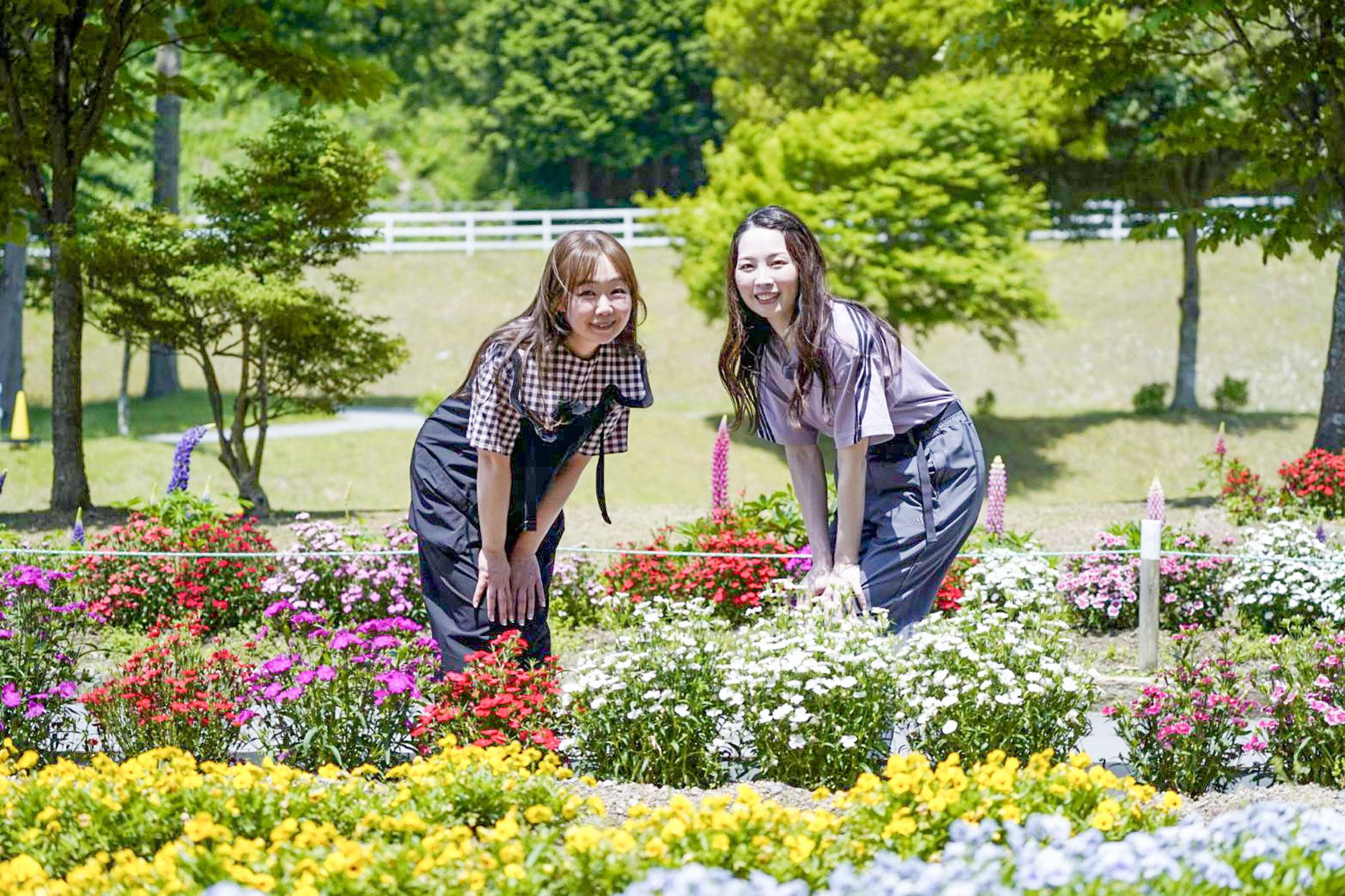 【レポ】「WINK×みたい・まるはり」コラボTV番組「めっちゃみたい」 