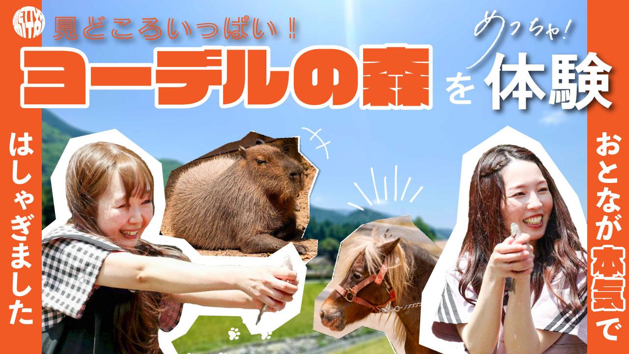 【番組】「めっちゃみたい」第二回YouTube配信スタート!編集部スタッフが「神崎農村公園ヨーデルの森」を体験!