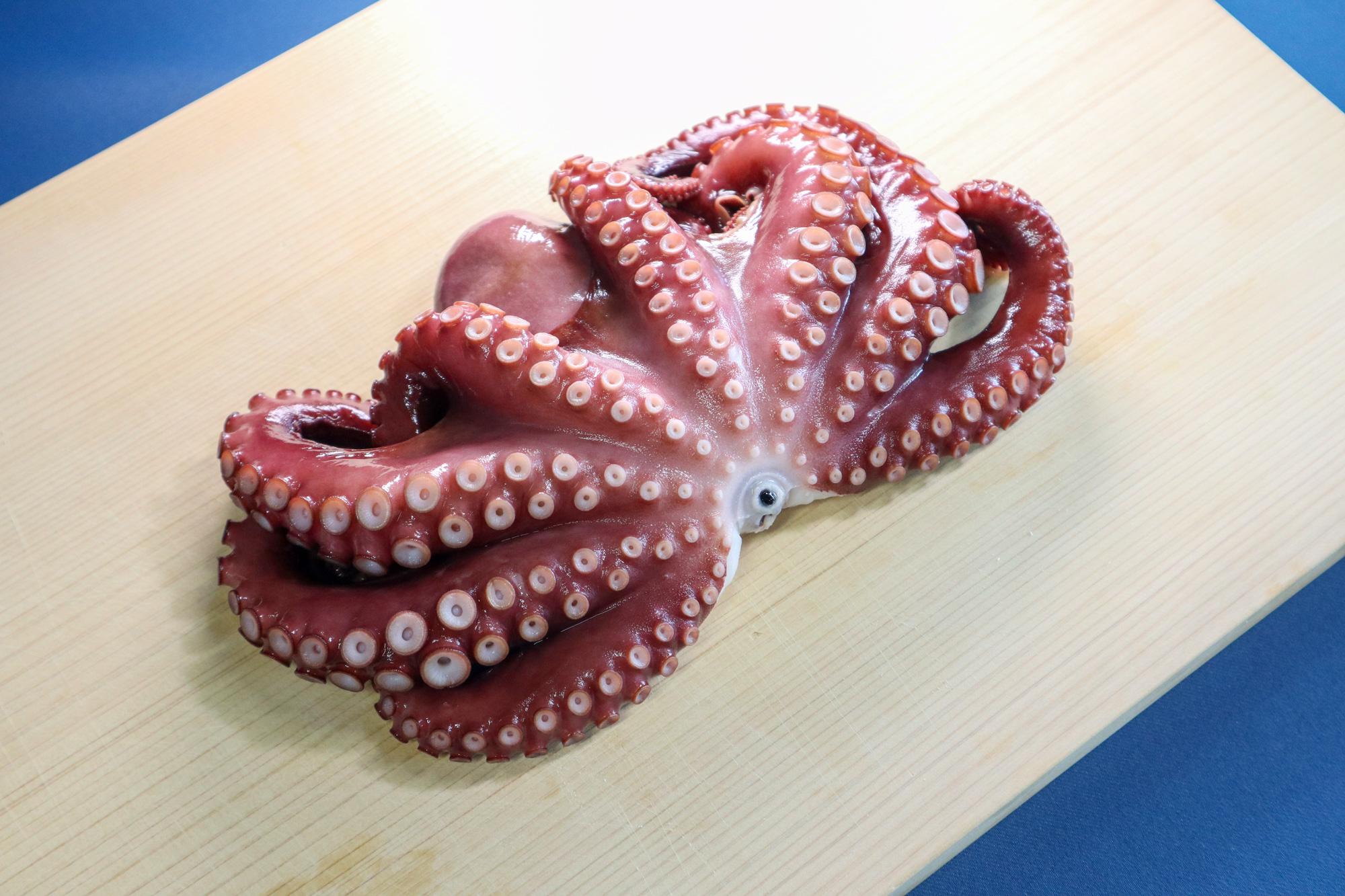 【明石】ふるさと納税返礼品を使ってみました! 最高級ブランド「明石産 湯だこ(マダコ)」